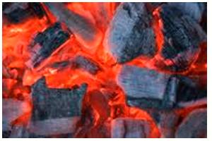 Ember  - A piece of wood or coal that is not burning but is still red and hot after a fire has died.