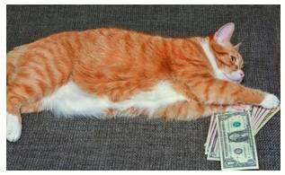 Wherewithal  - The money or other means needed for a particular purpose.