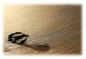 Ephemeral  - Lasting for a very short time.