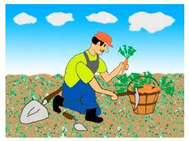 Garner  - To obtain or collect something such as information, support, etc.