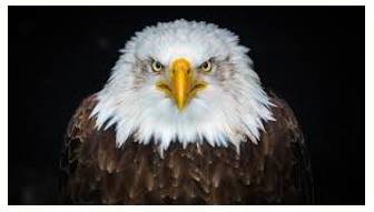 Formidable  - Inspiring fear or respect through being impressively large, powerful, intense, or capable.