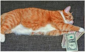 Wherewithal  - The money or other means needed for a particular purpose.