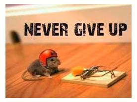 Persist  - Continue to exist.