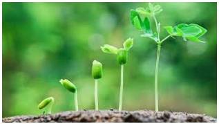 Thrive  - Prosper; flourish.