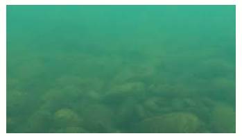 Murky  - Not clear.