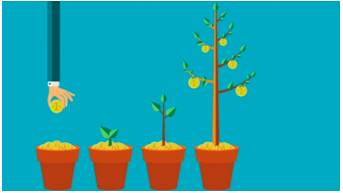 Burgeoning  - Beginning to grow or develop rapidly.