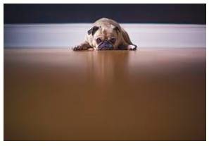 Reluctant  - Unwilling and hesitant.