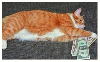 Wherewithal  - The money or other means needed for a particular purpose.