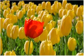Conspicuous  - Easy to see or notice.