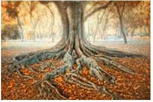Ingrained  - (of a habit, an attitude, etc.) that has existed for a long time and is therefore difficult to change.