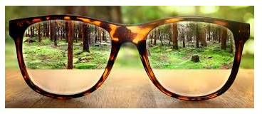 Starkly  - In a way that is easy to see because it is very different.