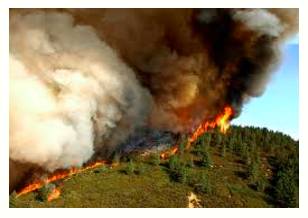Conflagration  - An extensive fire which destroys a great deal of land or property.