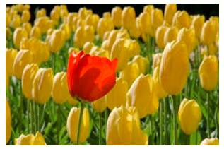 Conspicuous  - Easy to see or notice.