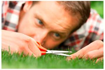 Effectuate  - Put into force or operation.