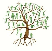 Lineage  - The series of families that somebody comes from originally.