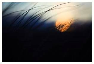 Subtly  - In a manner that is so delicate or precise as to be difficult to analyse or describe.