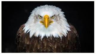 Formidable  - Inspiring fear or respect through being impressively large, powerful, intense, or capable.