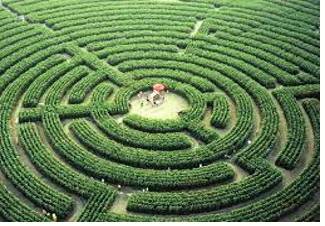 Labyrinth  - An intricate and confusing arrangement.