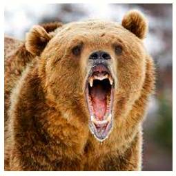 Ferocity  - Violence; aggressive behavior.