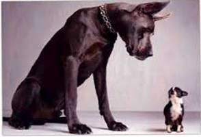Intimidation  - The act of frightening or threatening somebody so that they will do what you want.