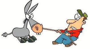 Adamant  - Refusing to be persuaded or to change one's mind.