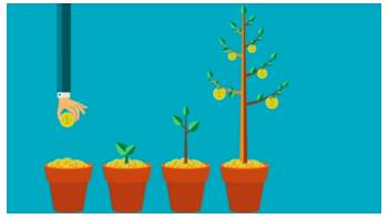 Burgeoning  - Beginning to grow or develop rapidly.