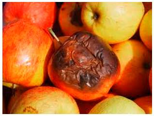 Mar  - Impair the quality or appearance of.