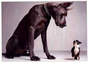 Intimidation  - The act of frightening or threatening somebody so that they will do what you want.