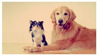 Juxtapose  - To put people or things together, especially in order to show a contrast or a new relationship between them.