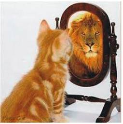 Aplomb  - Self-confidence or assurance, especially when in a demanding situation.
