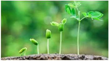 Thrive  - Prosper; flourish.