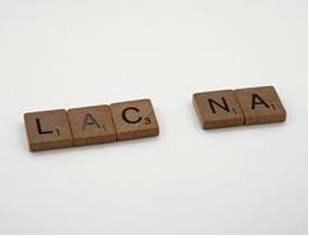 Lacuna  - An unfilled space.