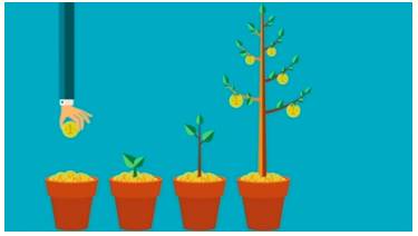 Burgeoning  - Beginning to grow or develop rapidly.