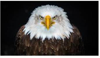 Formidable  - Inspiring fear or respect through being impressively large, powerful, intense, or capable.