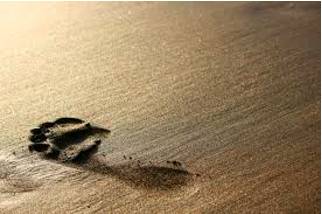 Ephemeral  - Lasting for a very short time.