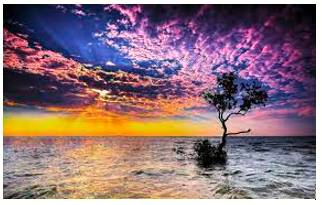 Splendidly  - In a magnificent or very impressive manner.