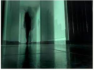 Shadowy  - Of uncertain identity or nature.