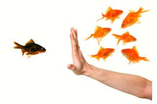 Discriminatory  - Unfair; treating somebody or one group of people worse than others