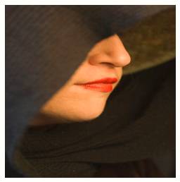 Cloak  - Something serving to hide or disguise something.
