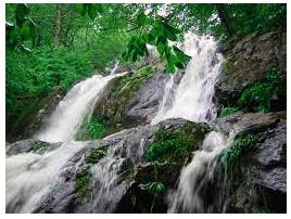 Cascade  - Fall or hang in copious quantities.
