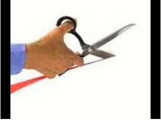 Curtail  - Reduce in extent or quantity.