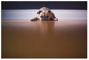 Reluctant  - Unwilling and hesitant.