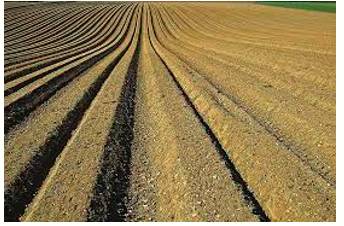 Furrow  - A rut, groove, or trail in the ground or another surface.