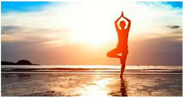 Panacea  - A solution or remedy for all difficulties or diseases.