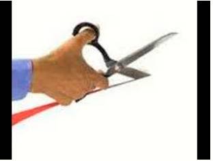 Curtail  - Reduce in extent or quantity.