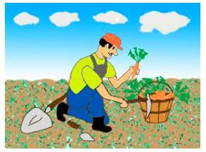 Garner  - To obtain or collect something such as information, support, etc.