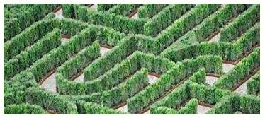 Labyrinthine  - (of a system) intricate and confusing.