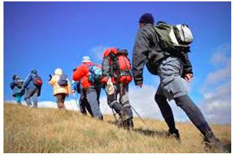 Expedition  - An organized journey with a particular purpose, especially to find out about a place that is not well known.