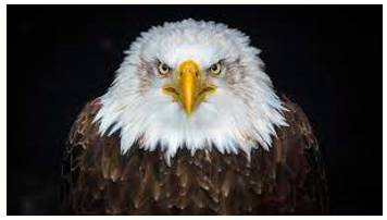 Formidable  - Inspiring fear or respect through being impressively large, powerful, intense, or capable.