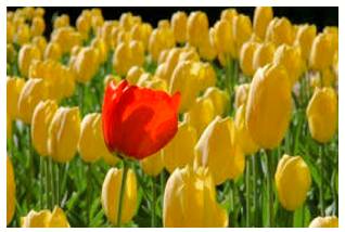 Conspicuous  - Easy to see or notice.